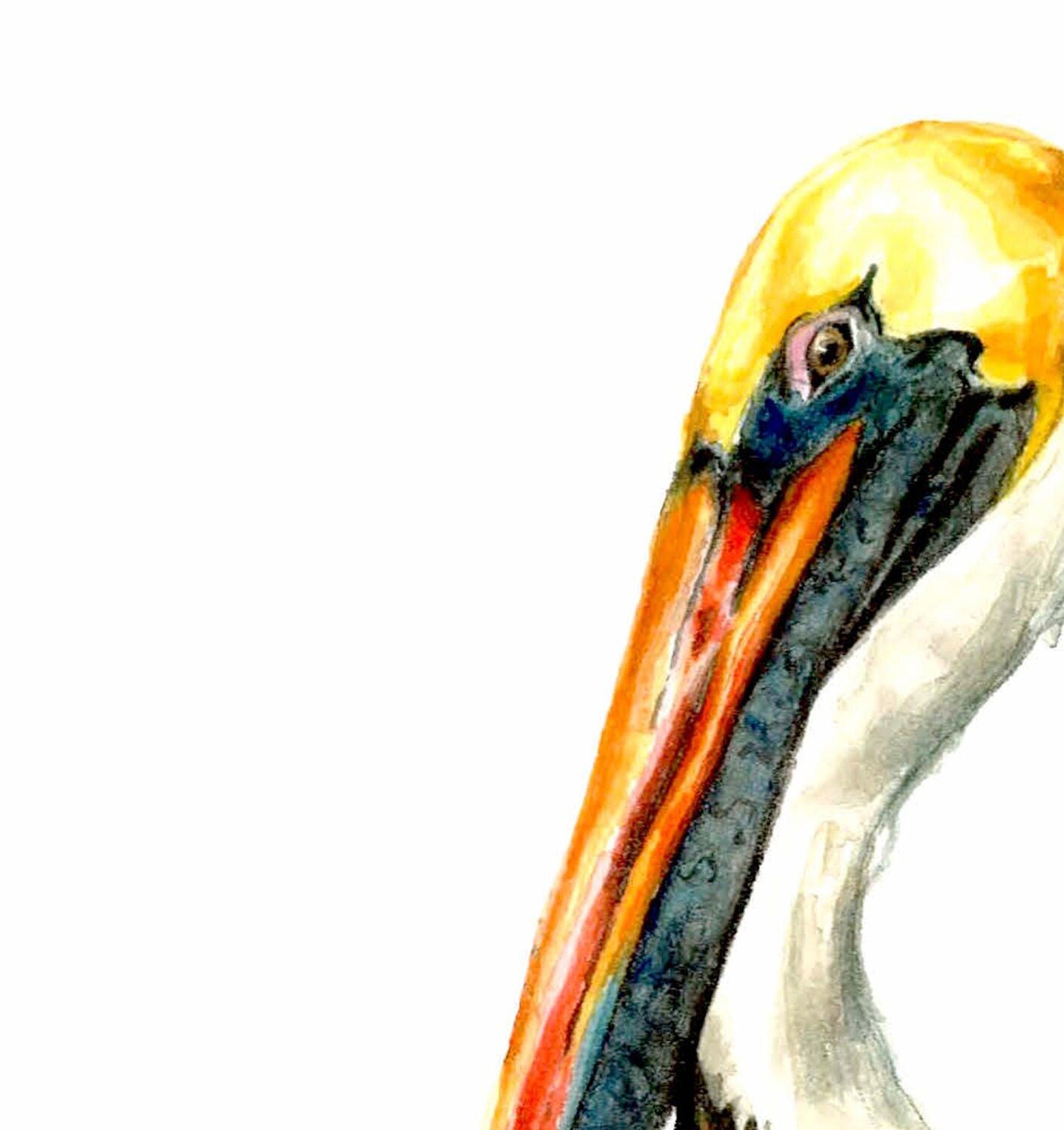 Pensive Pelican Art Print - Watercolor