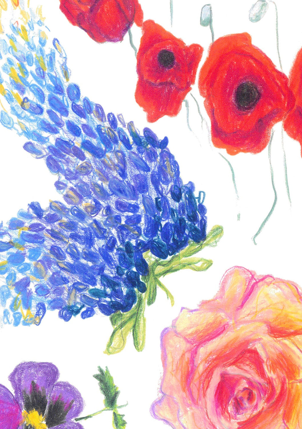 Botanical Flowers Art Print