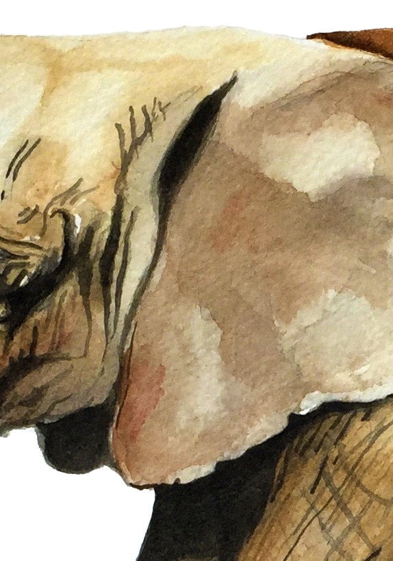 Elephant with Flower Print - Watercolor